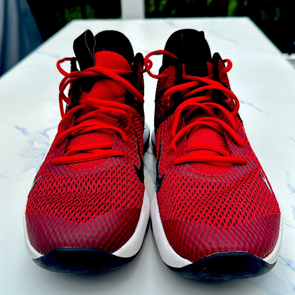 Nike Lebron basketball shoes